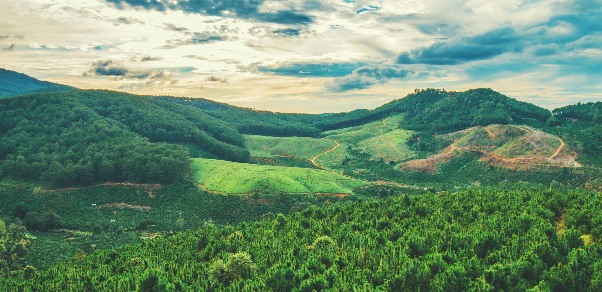 pexels-chuchuphinh-1679551
